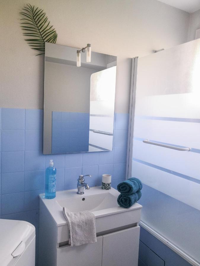 Appartement Toulouse Blagnac Aeroport Iut Parking Proche De Toutes Commodites Belle Terrasse Netflix Dış mekan fotoğraf